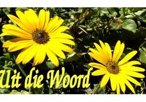 Ware Vrede in die Here